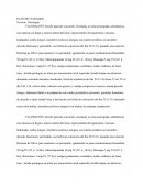 PLAN DE CUIDADOS Servicio. Oncología