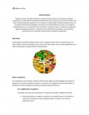 Tipos de dietas La dieta basal o también llamada normal