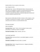 Libro Eres un vampiro