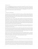 CLASIFICACIÓN DE LOS PROCEDIMIENTOS