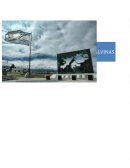 UNA GUERRA TERMINA UNA VEZ QUE ALGUNO DE LOS PAISES INVOLUCRADOS ACEPTA LA DERROTA