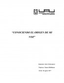 Conociendo el origen de mi voz