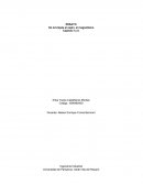 MAGNETISMO, ORIGENES Y DESARROLLO DE TEORIAS DE LA MANO DE LA ELECTRICIDAD