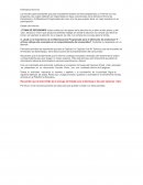 Como es el pequeño Analisis del consumidor