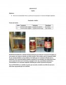 Laboratorio #2 Lípidos