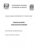 Práctica de campo. Temas selectos de biología