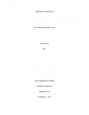 EL C++ PARA LA INGENIERÍA CIVIL