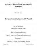 INSTITUTO TECNOLÓGICO SUPERIOR DE RIOVERDE