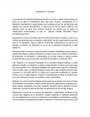 Animación en Colombia