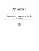 Ecosistemas y áreas protegidas de Honduras