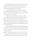En este apartado abordaremos un marco histórico, geográfico y cultural de la sociedad mapuche