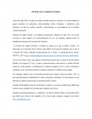 SISTEMA DE CAMBIO FLEXIBLE