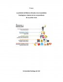 La pirámide de Maslow enfocada a las necesidades