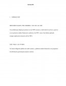 IMPLEMENTACION POR PRIMERA VEZ DE LAS NIIF