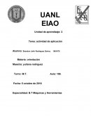 Orientacion etapa organizacion