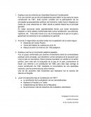 Explique que se entiende por Asamblea Nacional Constituyente