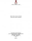 ECONOMIA Y DESARROLLO PROGRAMA DE ECONOMIA