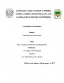 Mapa conceptual Enfermería geronto-geriatrica