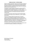 TEORIA DE PESO Y CONTRA PESOS