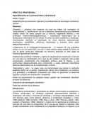 PRÁCTICA PROFESIONAL Desmitificación de la productividad y rendimiento