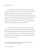 Casos Derechos Humanos 2