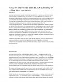 Los virus representan las formas de vida más abundantes en el planeta