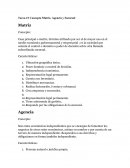 Tarea #1 Concepto Matriz, Agencia y Sucursal