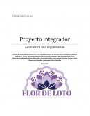 Posicionarse en el mercado regional y local, innovando en nuestros productos siempre dando una imagen de calidad, servicio, honestidad y confianza.