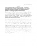 Diego Sánchez Santamaria. Perspectiva