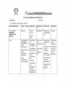 TALLER SOBRE MATERIALES