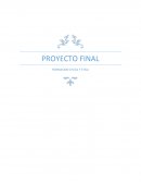 El nuevo Proyecto Formacion