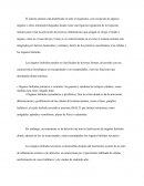 Órganos linfoides primarios o centrales