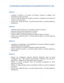 Actividades de software de aplicación ejecutivo 2°C IGE