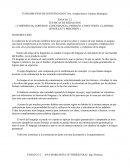 Como son las Tecnicas de redaccion