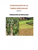 Proyecto tecnologico de Telebachillerato