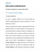 Daño cerebral y plasticidad neural ¿Puede recuperarse el cerebro del daño?