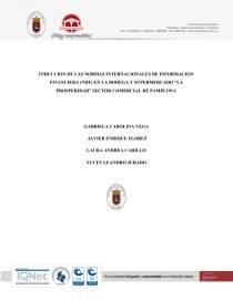 INDUCCION DE LAS NORMAS INTERNACIONALES DE INFORMACION FINANCIERA (NIIF) EN LA BODEGA Y SUPERMERCADO “LA PROSPERIDAD” SECTOR COMERCIAL DE PAMPLONA. Página 1