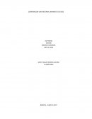 Actividad Costo explícito o implícito