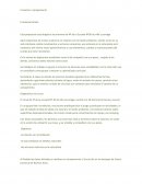 Iniciacion a campamento