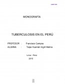 MONOGRAFÍA TUBERCULOSIS EN EL PERÚ