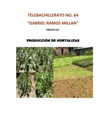 Proyecto tecnologico de Telebachillerato. Página 1
