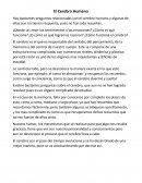 Hay bastantes preguntas relacionadas con el cerebro humano y algunas de ellas aun no tienen respuesta, pues no han sido resueltas.