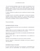 LA CADENA DE VALOR Actividades primarias o de línea