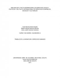 ANALISIS PACTO INTERNACIONAL DE DERECHOS CIVILES Y POLITICOS. Página 1