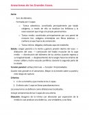 Aneurismas de los Grandes Vasos