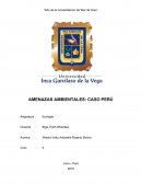 AMENAZAS AMBIENTALES CASO PERÚ