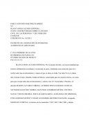 INCIDENTE DE LIQUIDACIÓN DE PENSIONES