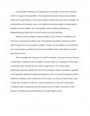 Necesidades fisiologicas