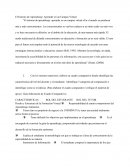 El Entorno de Aprendizaje: Aprender en un Campus Virtual