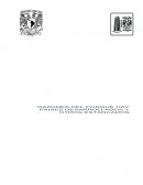 RAZONES DEL PORQUÉ HAY PAISES DESARROLLADOS Y OTROS ESTANCADOS